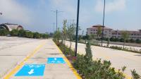 Fotoğraf 12